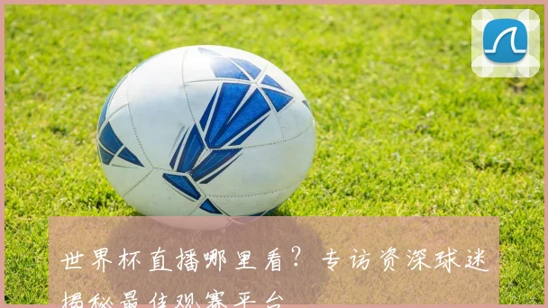 世界杯直播哪里看?专访资深球迷揭秘最佳观赛平台