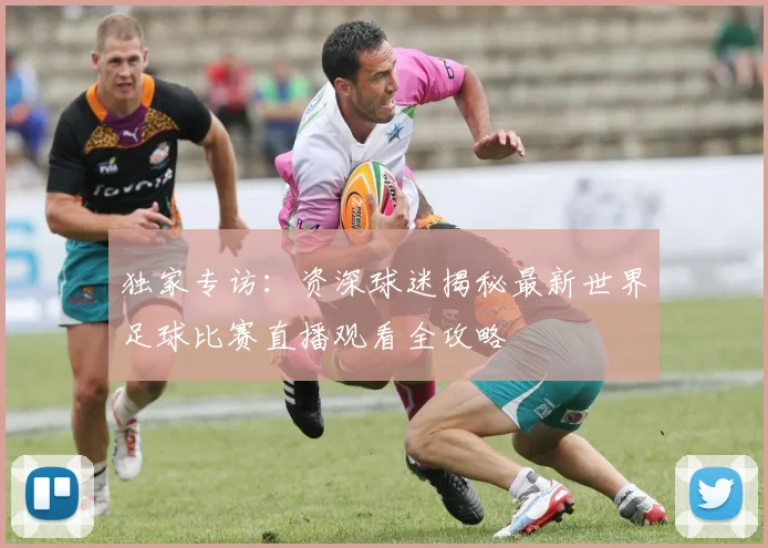 独家专访：资深球迷揭秘最新世界足球比赛直播观看全攻略