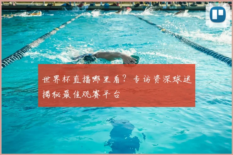 世界杯直播哪里看？专访资深球迷揭秘最佳观赛平台